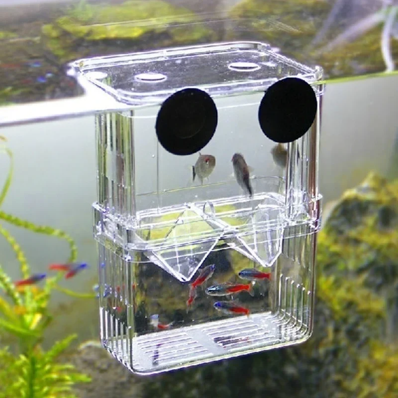 Pet Supplies Fish - Transparent Fish Aquarium High Clear Breeding
