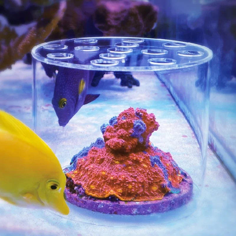 Pet Supplies Fish - Vastocean Aquarium Arcylic Coral Feeder Hood