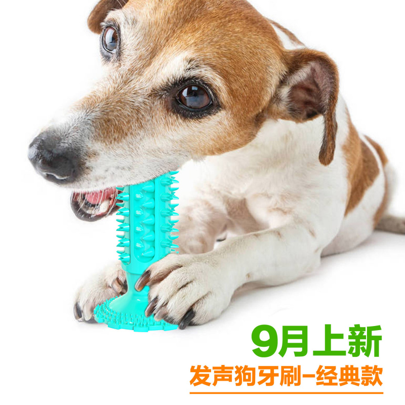 Dog toy with suction cup, soun - Pet Supplies Amazon 评论和价格