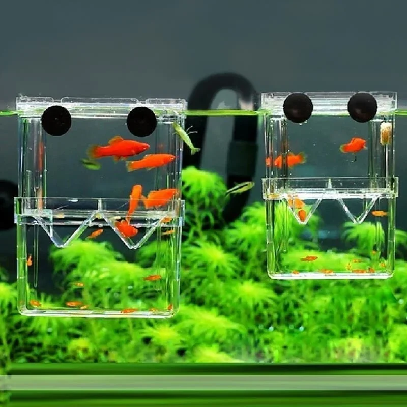 Transparent Fish Aquarium High - Pet Supplies Fish 评论和价格