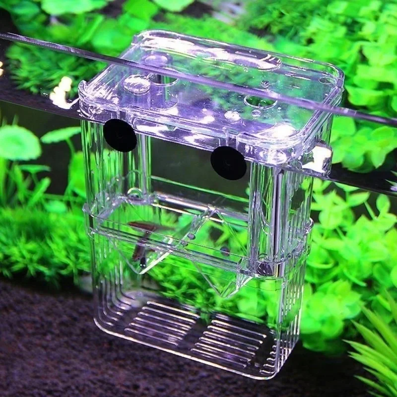 Transparent Fish Aquarium High - Pet Supplies Fish 评论和价格