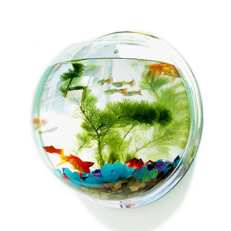 Pinsjar Acrylic Fish Bowl Wall - Pet Supplies Fish 评论和价格