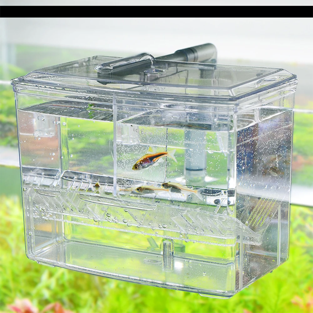 1.25L 2.5L Aquarium Fish Breed - Pet Supplies Fish 评论和价格