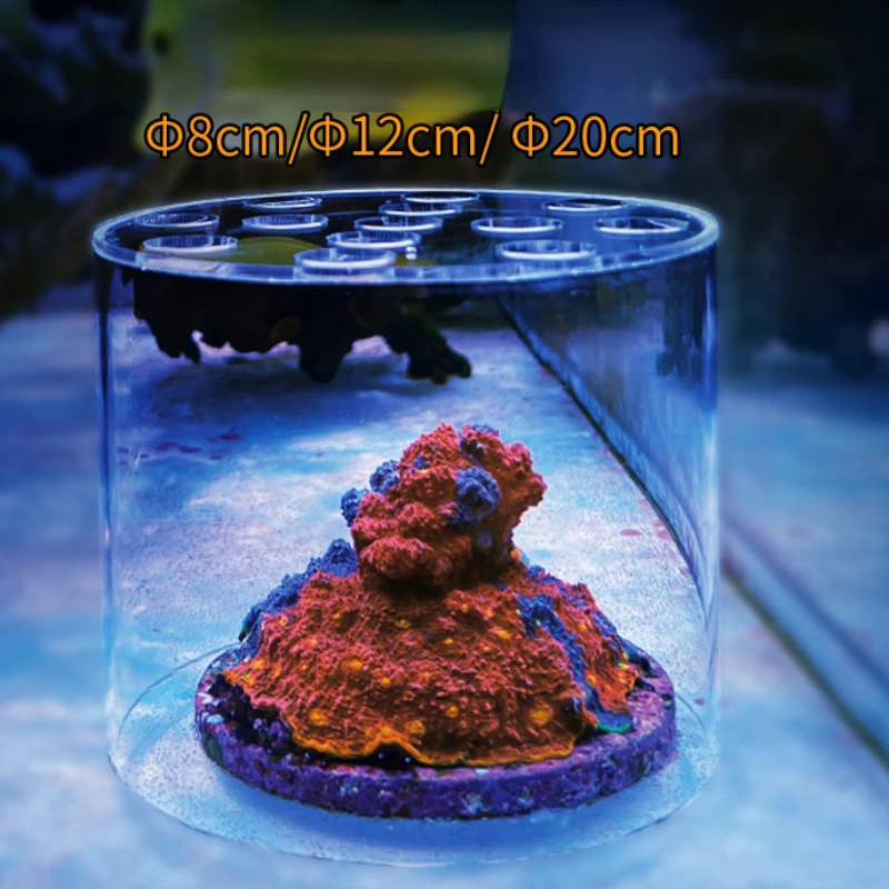Vastocean Aquarium Arcylic Cor - Pet Supplies Fish 评论和价格