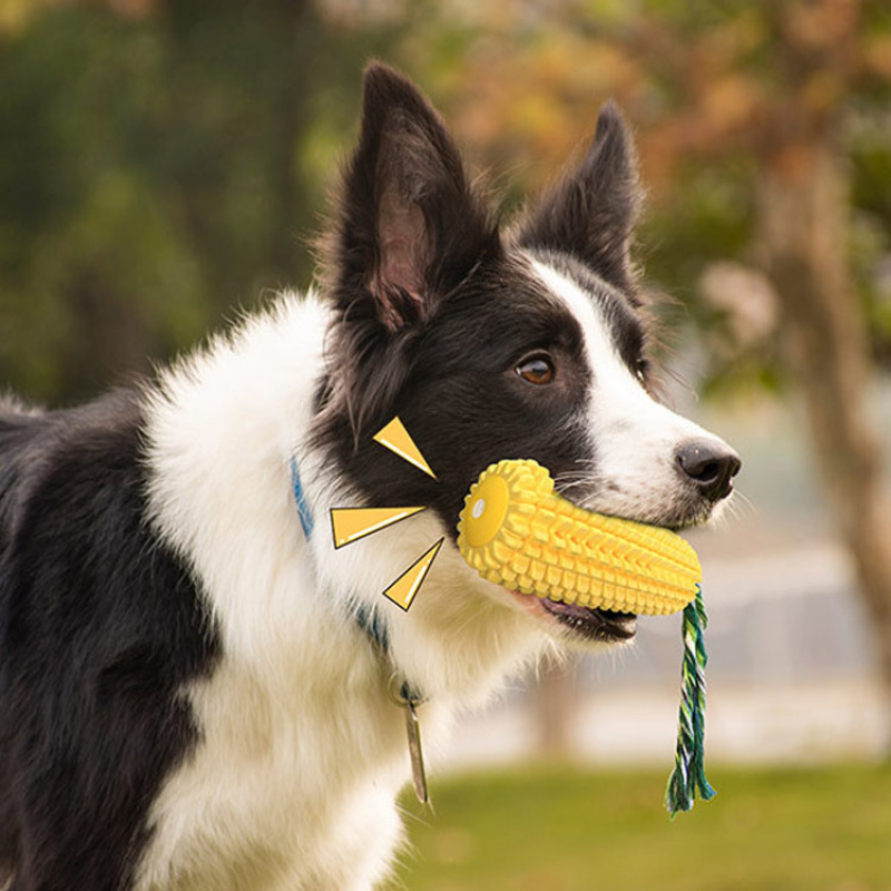 Pet Supplies: Sounding Corn Do - Pet Supplies Amazon 评论和价格