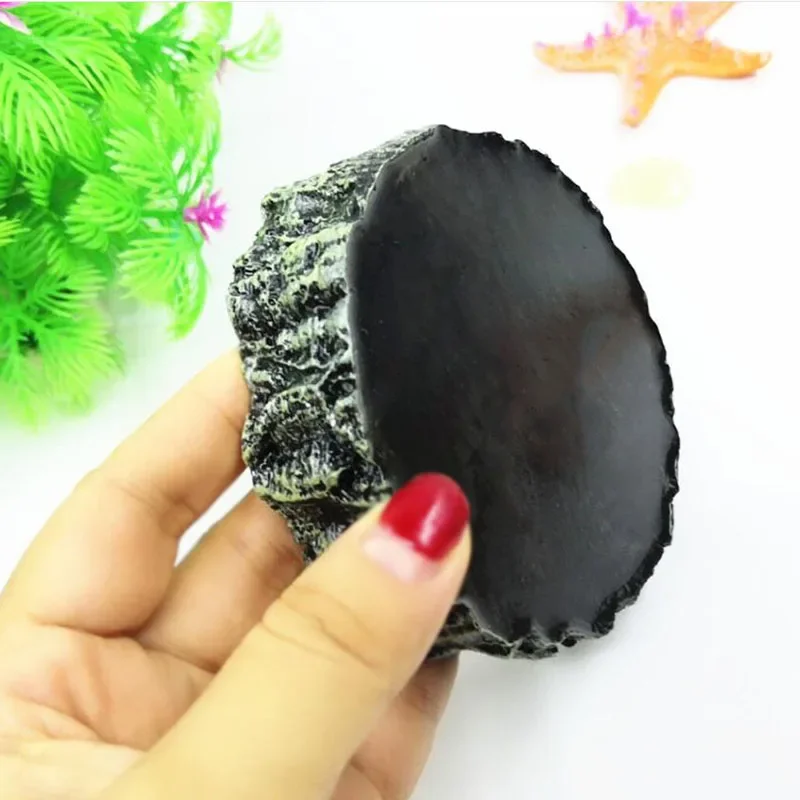 Pet Reptile Feeder Bowl Resin  - Pet Supplies Fish 评论和价格