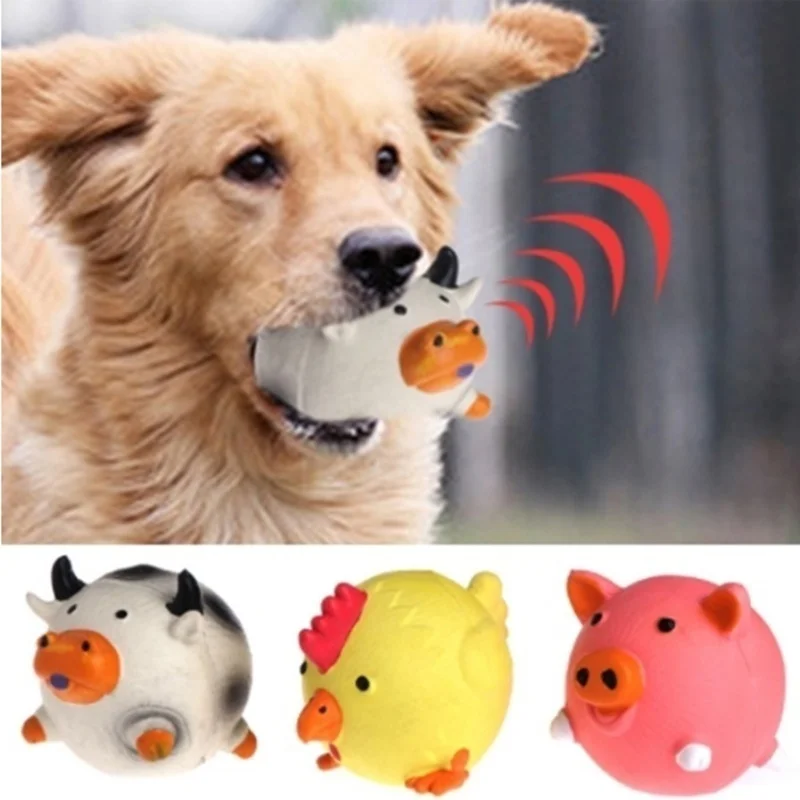 Pet Supplies Amazon Bestseller - Pet Supplies Amazon 评论和价格