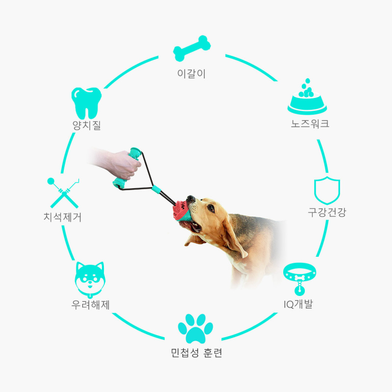 New Pet Supplies and Toy Set,  - Pet Supplies Amazon 评论和价格